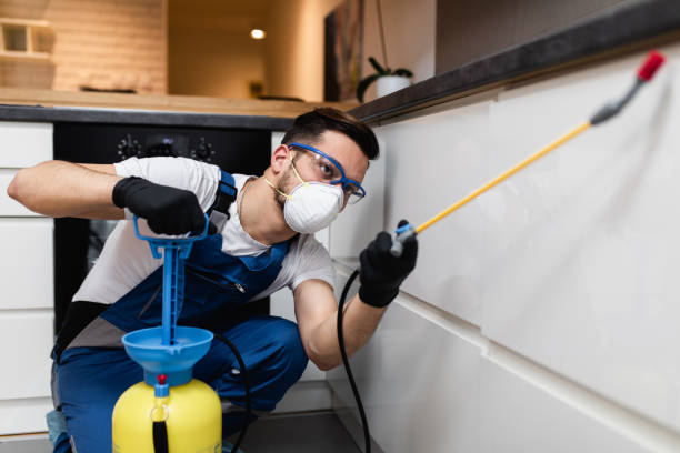 Best Pest Inspection Near Me  in San Pablo, CA