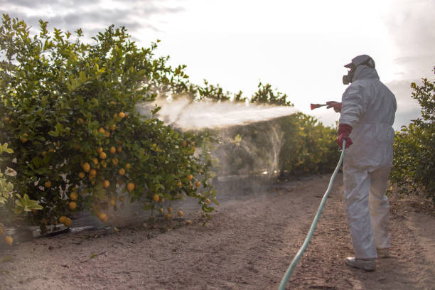 Best Bird Control  in San Pablo, CA