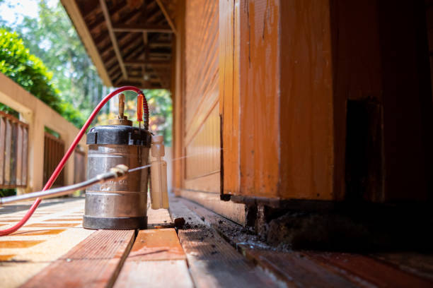 Best Termite Control Services  in San Pablo, CA